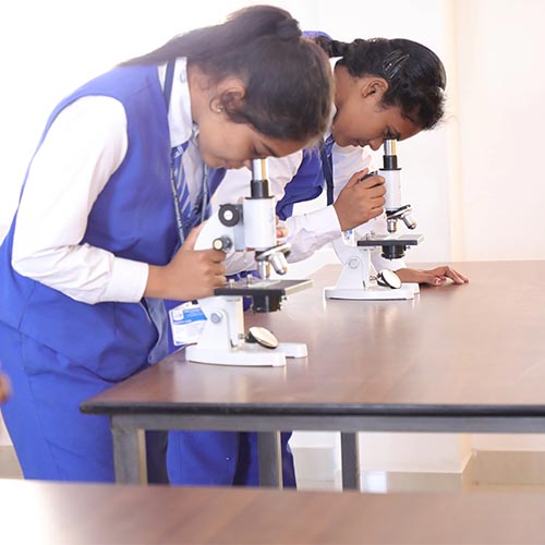 International Scholl_0018_PCIS4588